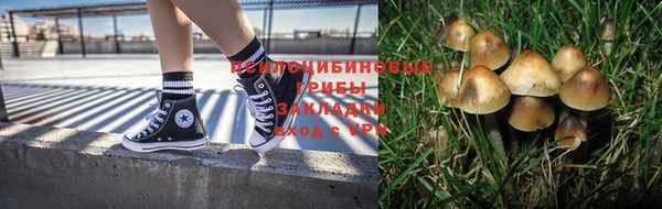 соль ск Алзамай
