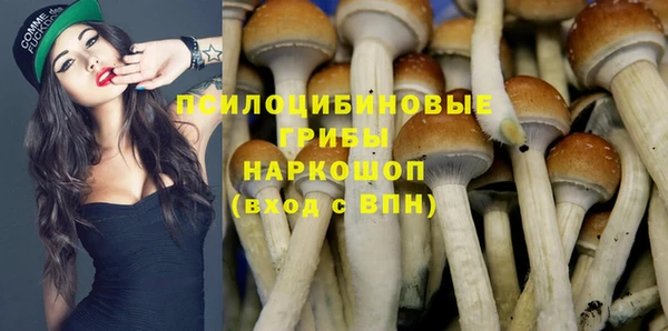 соль ск Алзамай