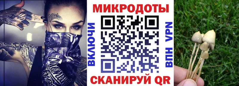 дарнет шоп  Лысьва  Псилоцибиновые грибы мухоморы 